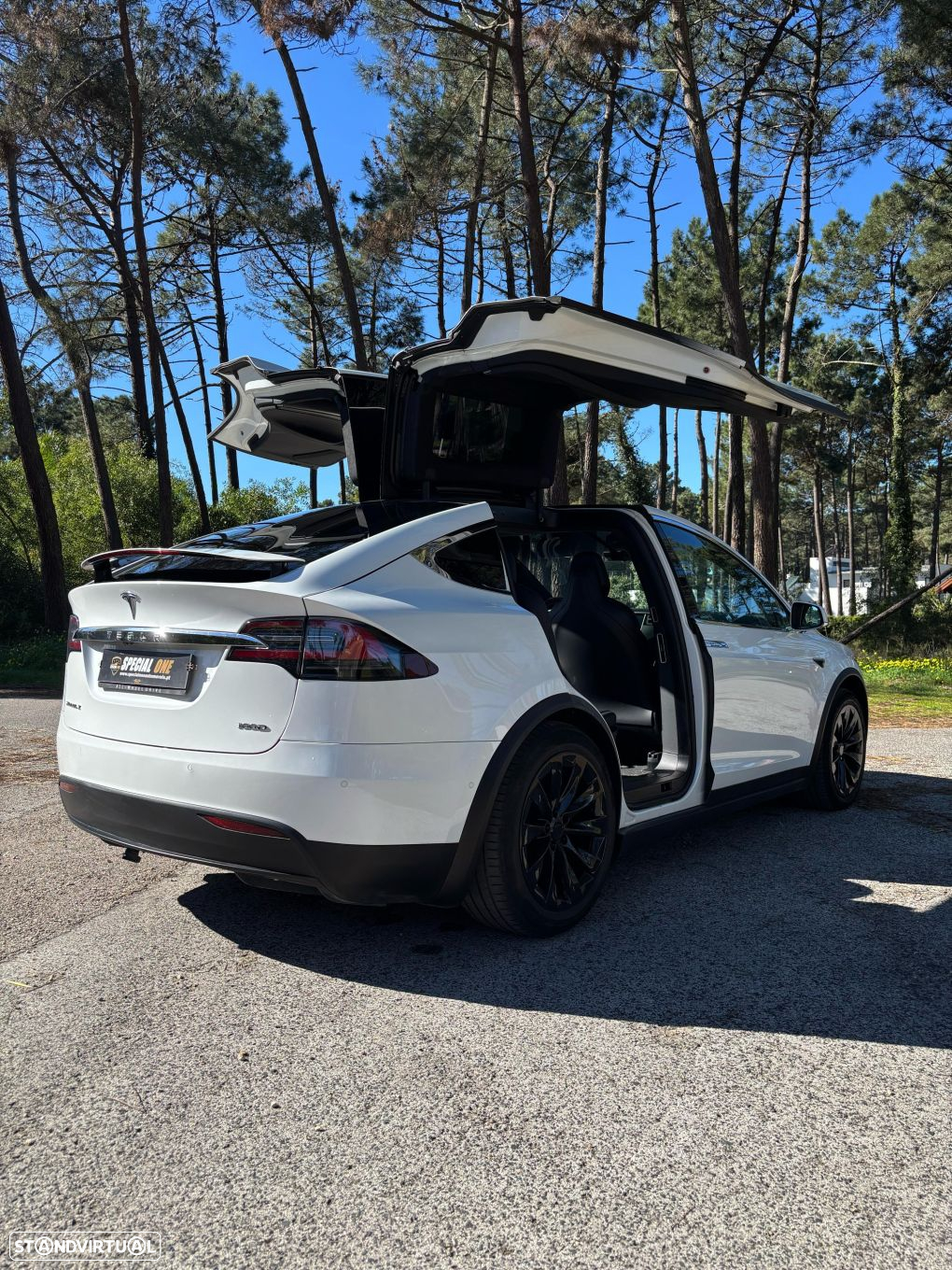 Tesla Model X 100D - 5