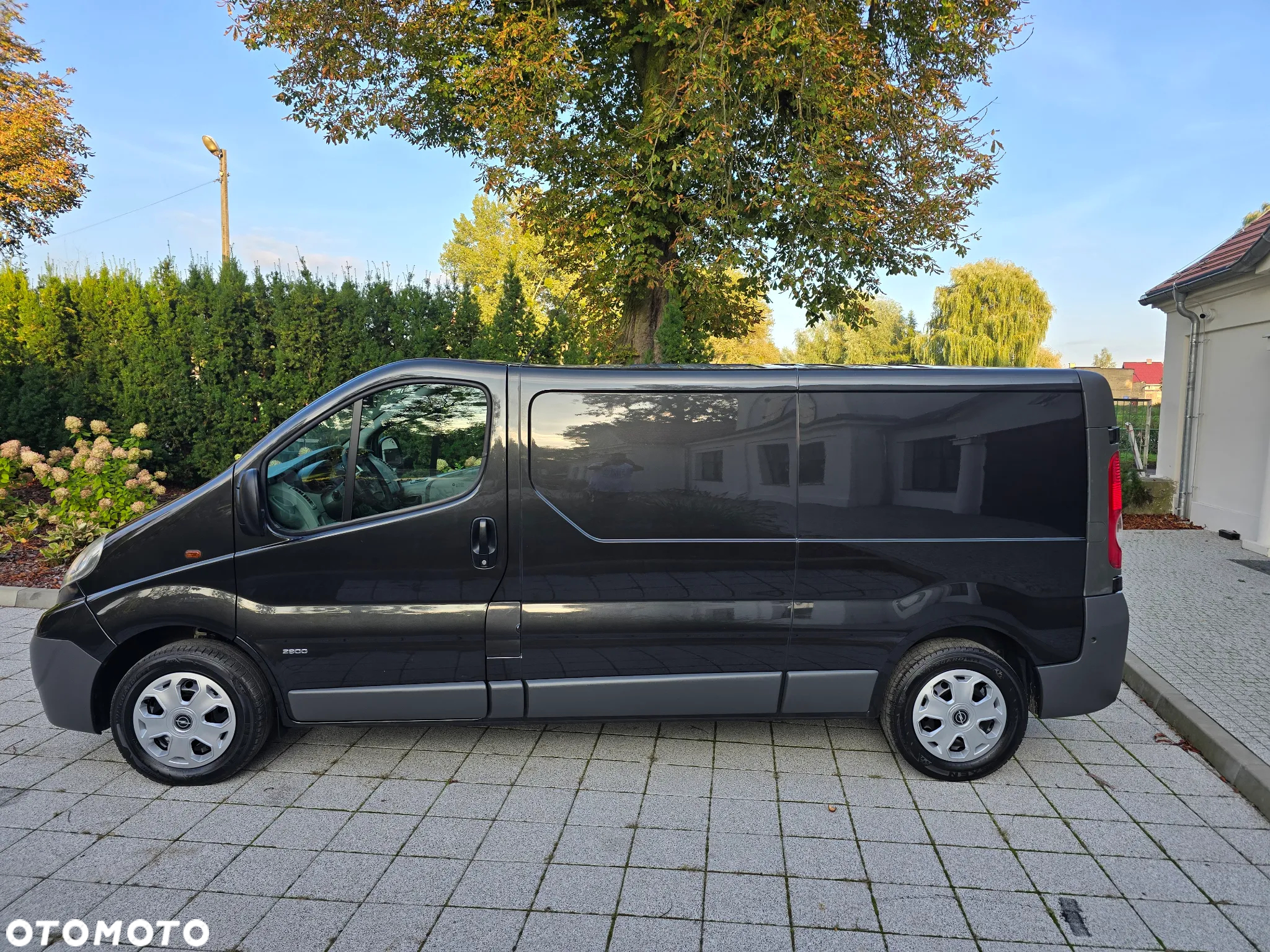 Opel Vivaro - 2