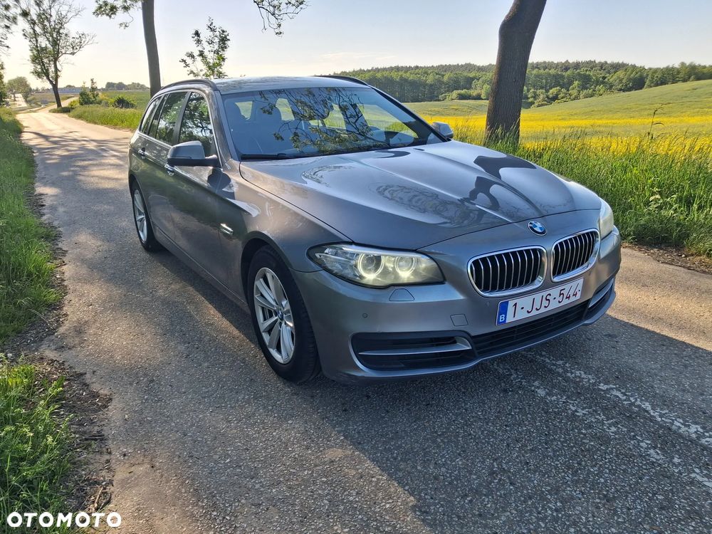 BMW Seria 5 520d Edition Fleet - 2