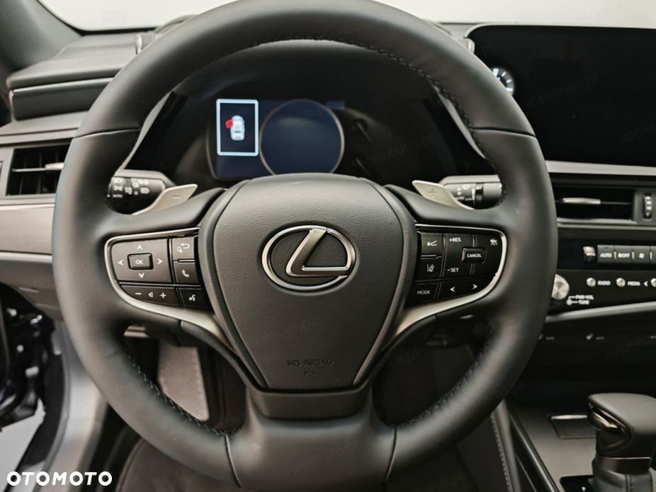 Lexus ES 300h Business Edition - 10