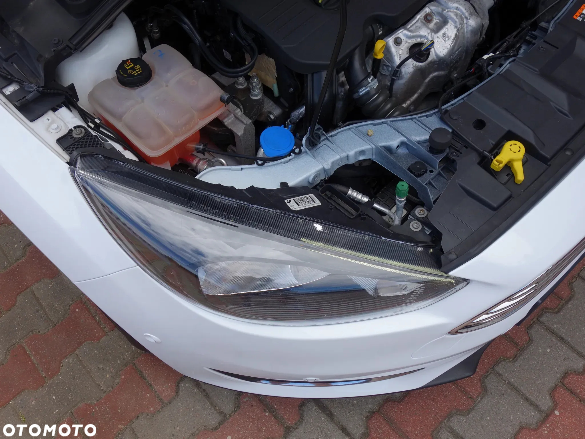Ford Focus Turnier 1.5 EcoBlue Start-Stopp-System TITANIUM - 19