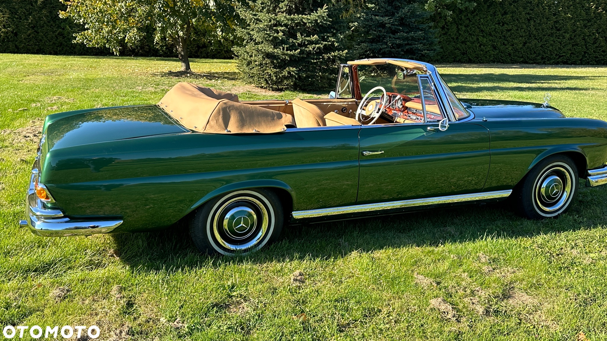 Mercedes-Benz Inny - 6