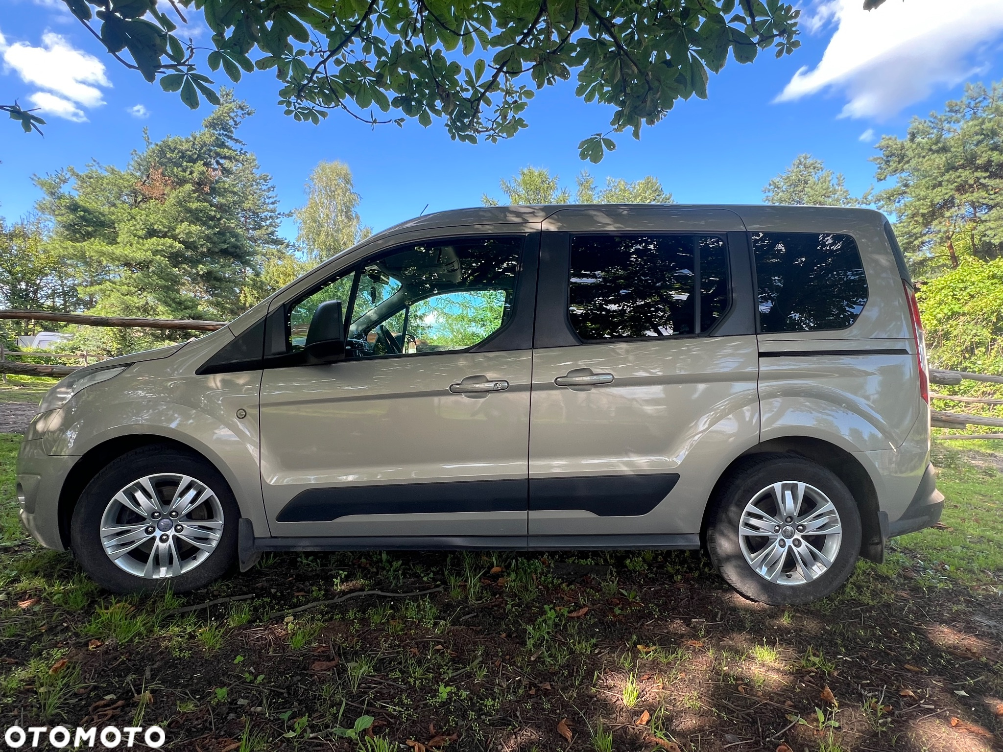 Ford Tourneo Connect - 4