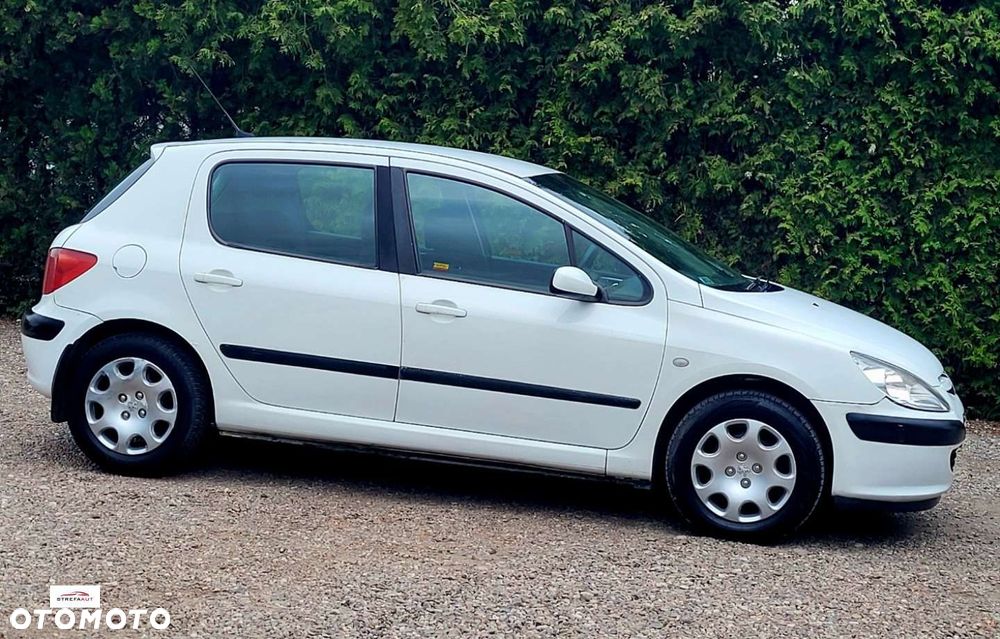 Peugeot 307 - 10