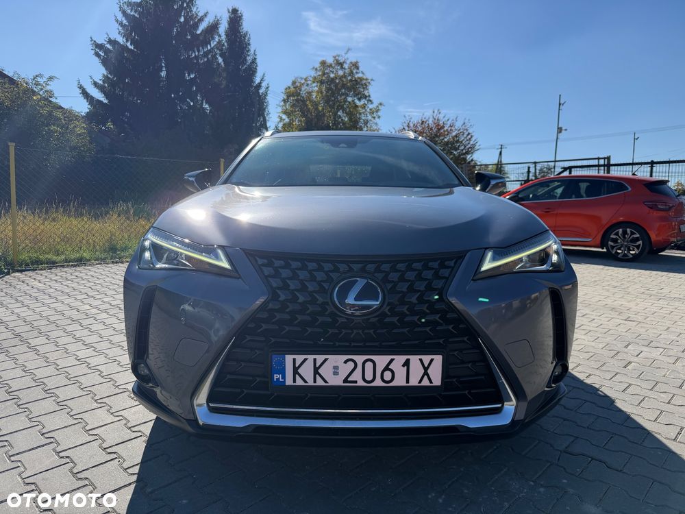 Lexus UX 250h GPF Business Edition AWD - 2