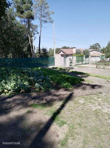 Terreno urbano com casa móvel - Grande imagem: 2/11