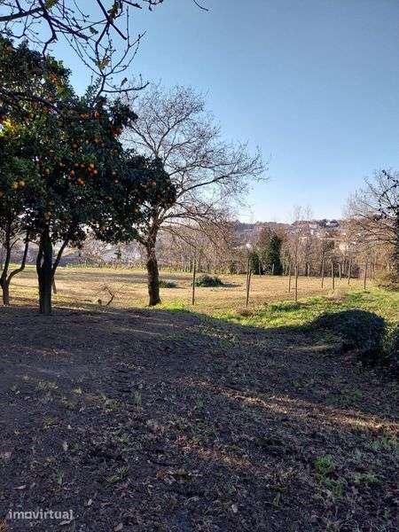 Terreno com 18 002 m2 - Grande imagem: 3/12