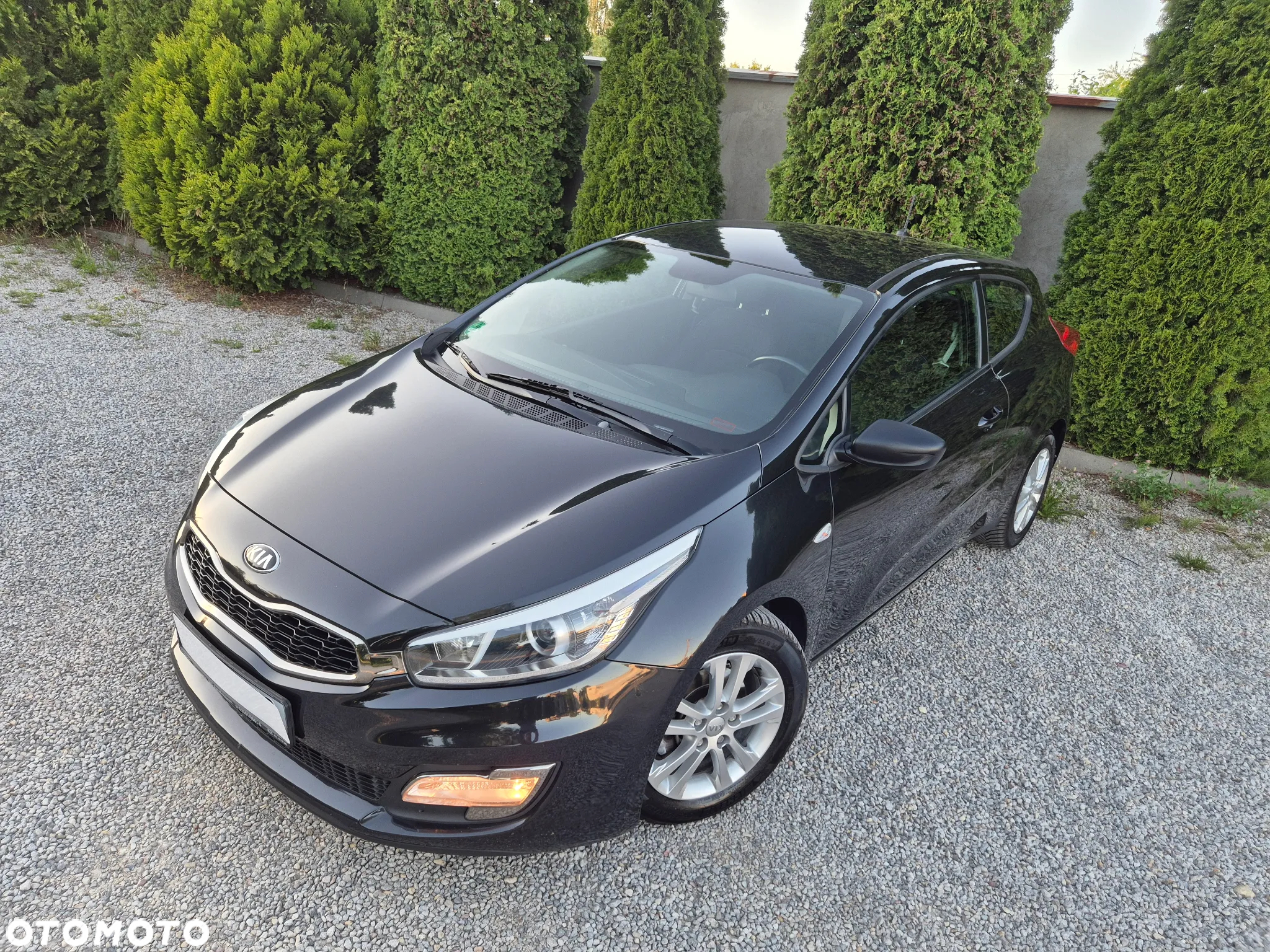 Kia ProCeed pro Ceed 1.6 GDI Edition 7 - 19