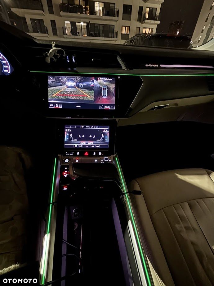 Audi e-tron 55 Quattro - 38