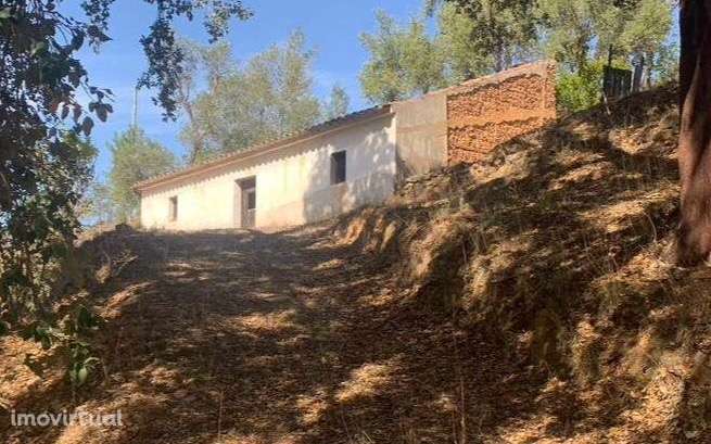 Quintinha tipica em Farelo - Grande imagem: 3/8