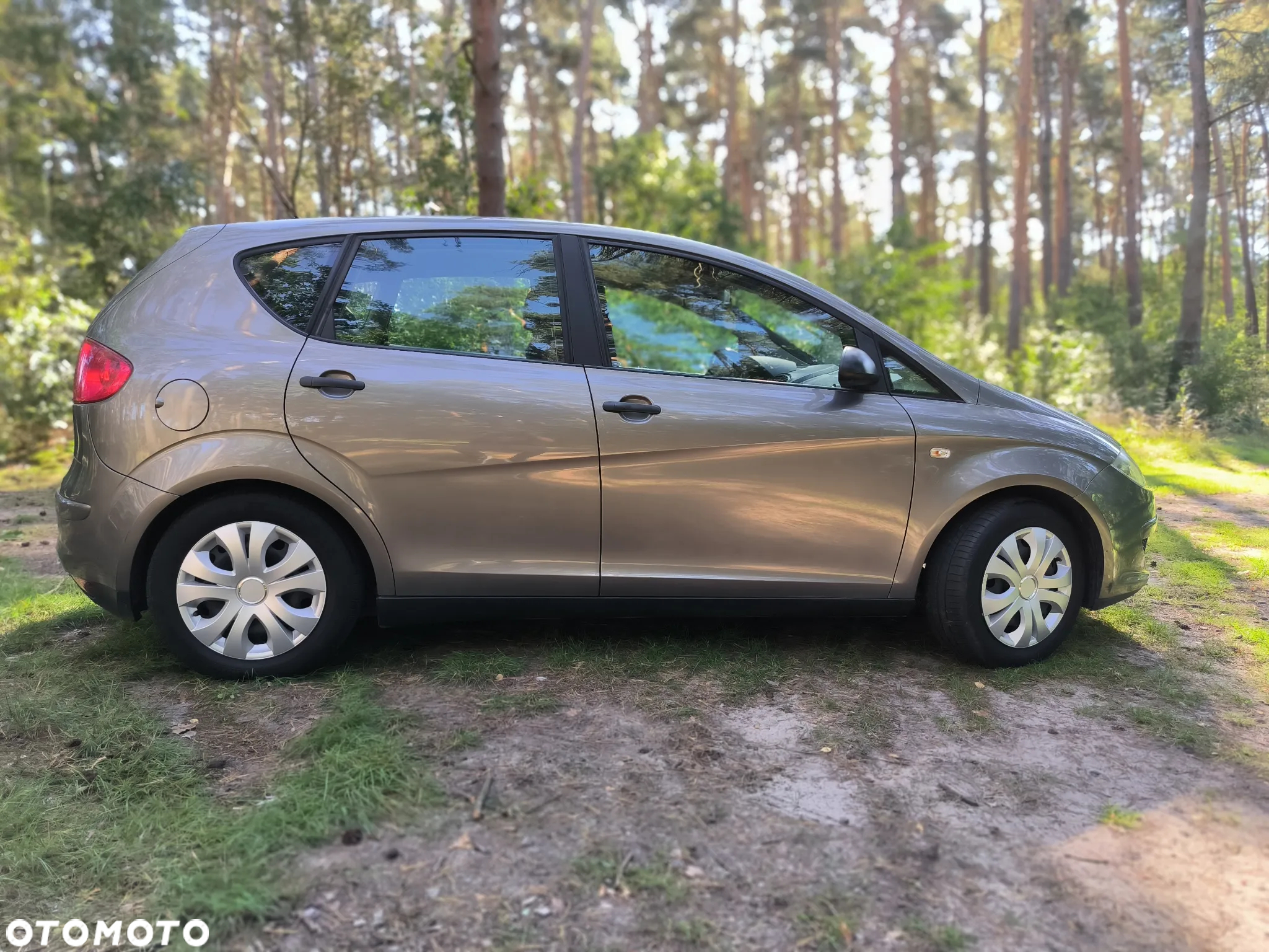 Seat Altea - 5