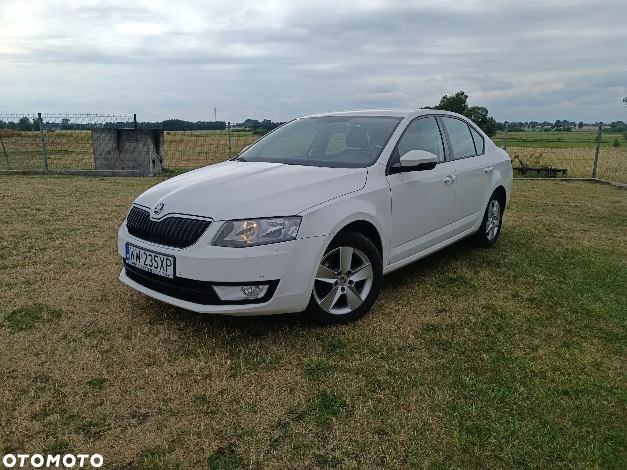 Skoda Octavia - 1