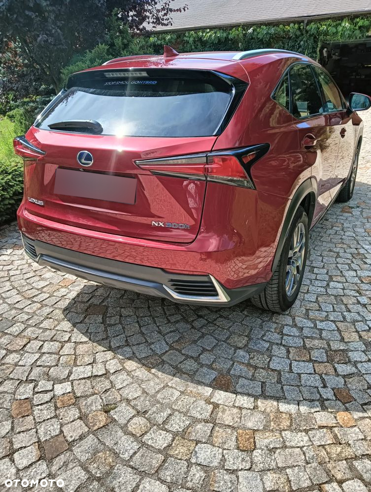 Lexus NX ver-300h-business-edition-awd - 6