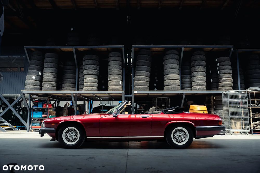 Jaguar XJS - 15