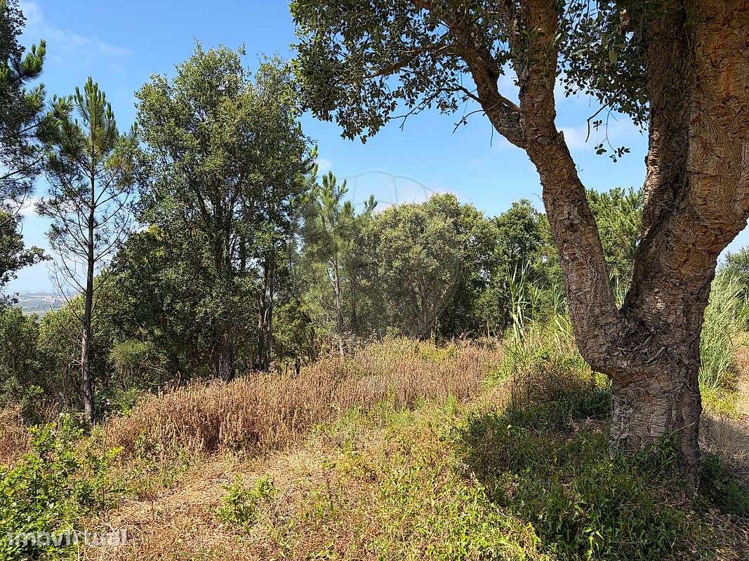 Terreno  para venda – pohled 6