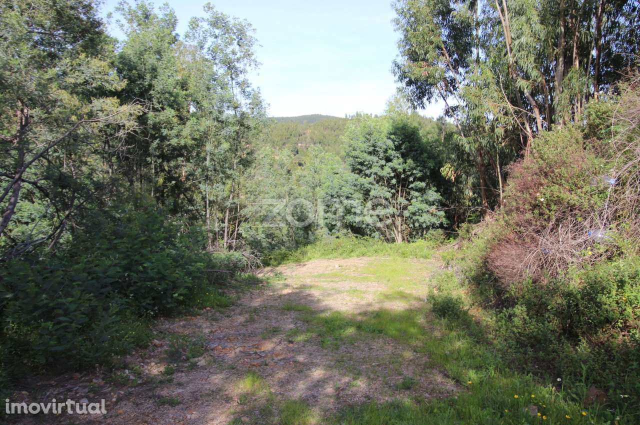 Terreno Rústico com 5.400 m² – Pontalinhos, Monchique - Grande imagem: 3/23