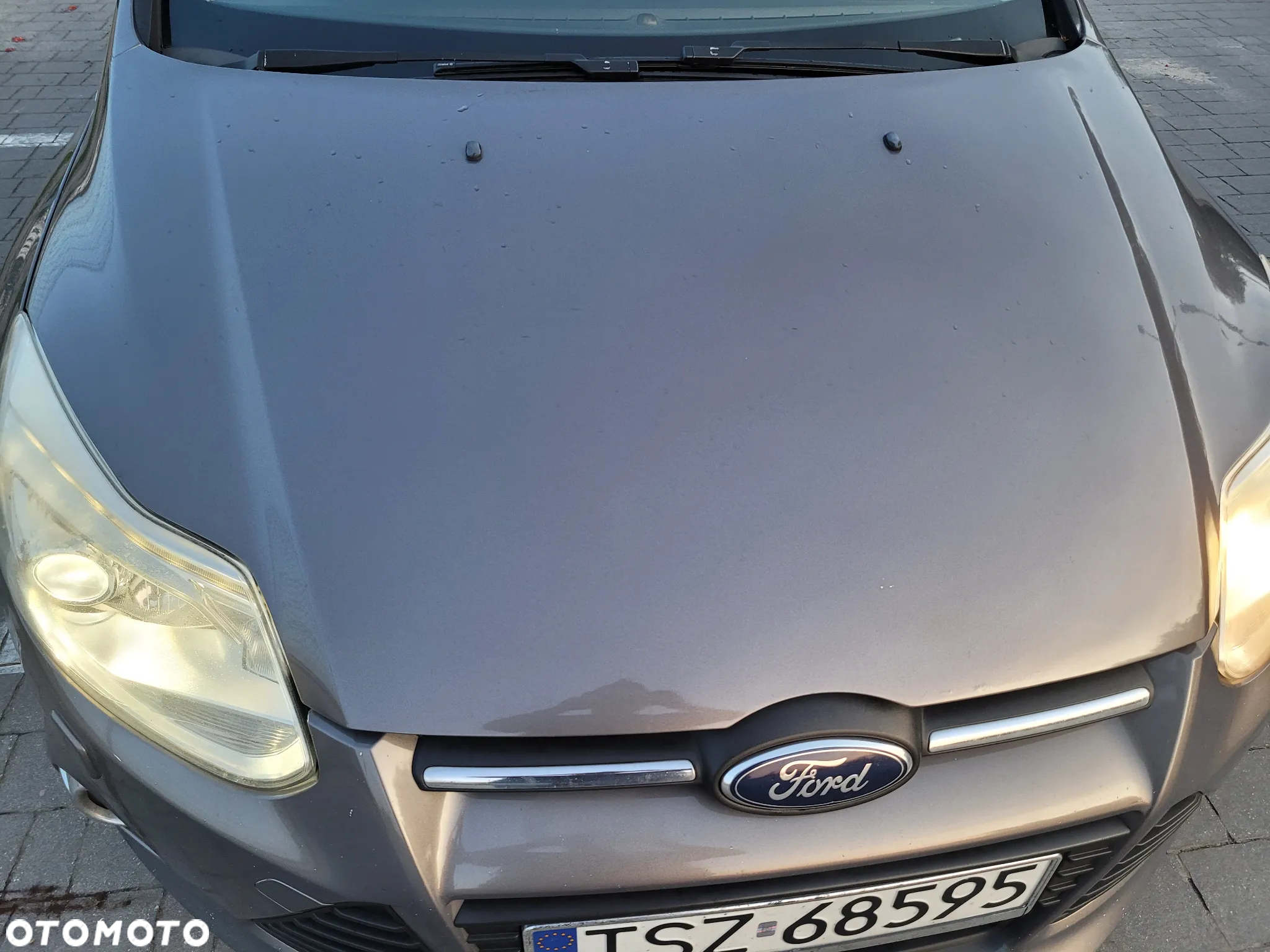 Ford Focus - 11