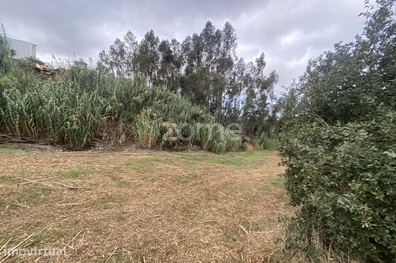Investimento ou desenvolvimento de projeto rural, no Alqueidão - Grande imagem: 4/20