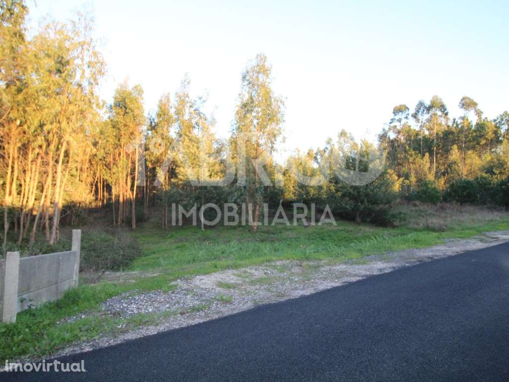 terreno para construção - Grande imagem: 4/7