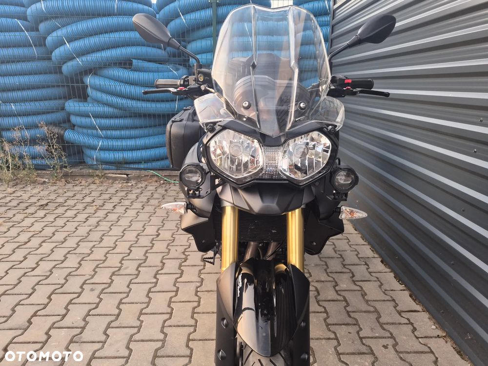 Triumph Tiger - 10