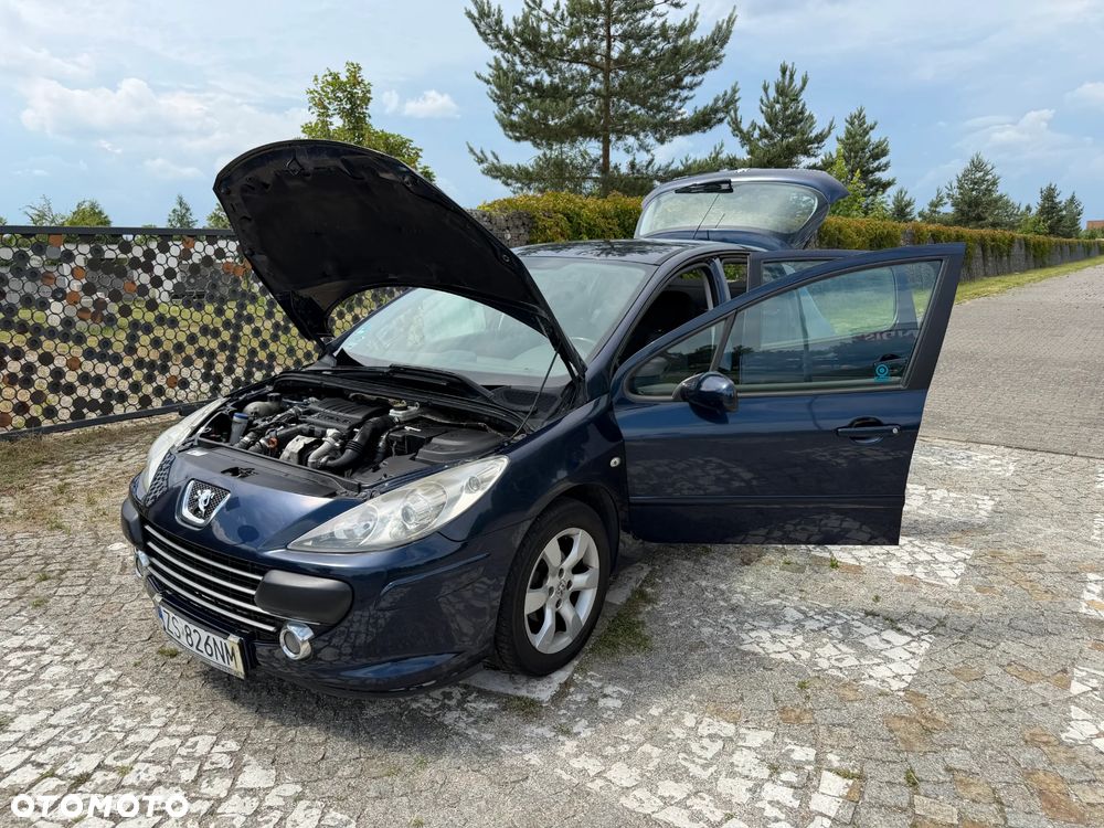 Peugeot 307 HDi 90 Filou - 17