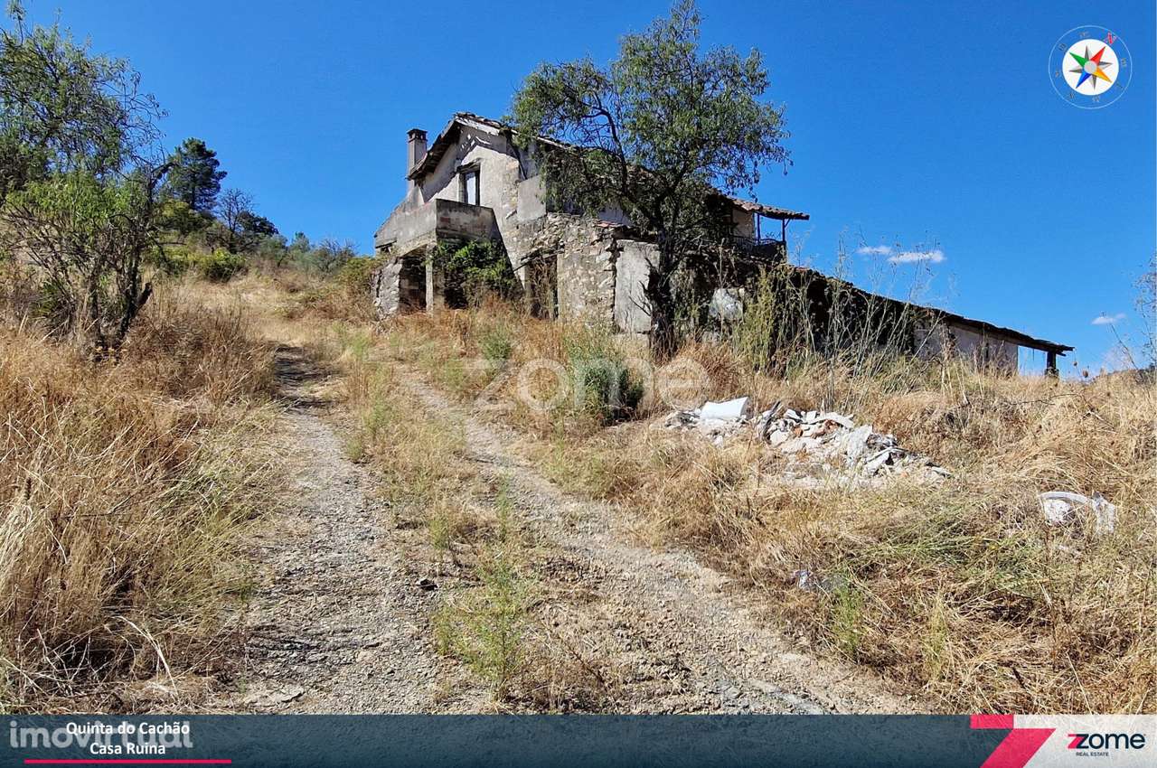 Quinta do Cachão – Refúgio Agrícola no Vale do Tua - Grande imagem: 4/18