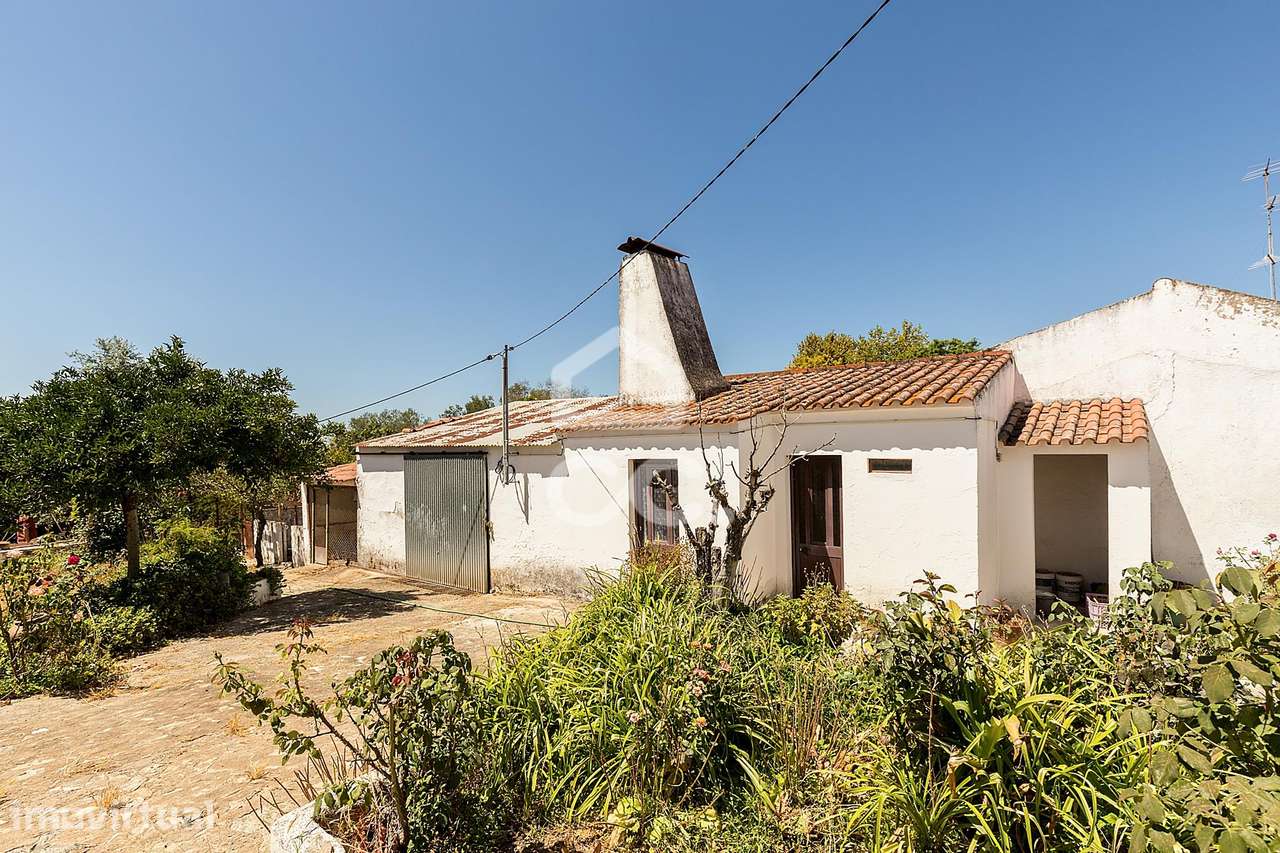Quintinha de 0,1ha c/ Moradia T1+1 e Anexos Agrícolas em Vila Nova da - Grande imagem: 5/60