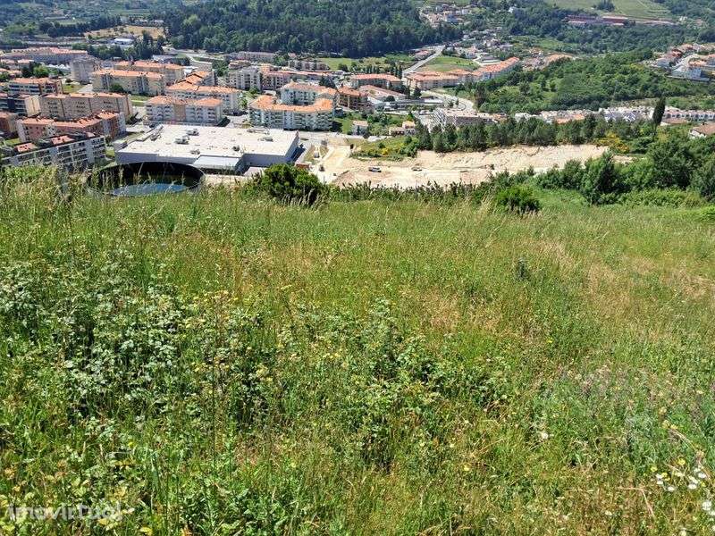 Terreno Serra das Meadas - Lamego - Grande imagem: 4/7