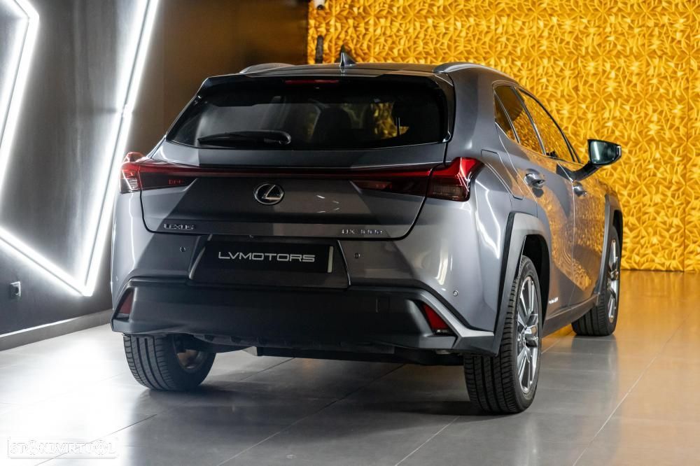Lexus UX 300e Luxury - 17