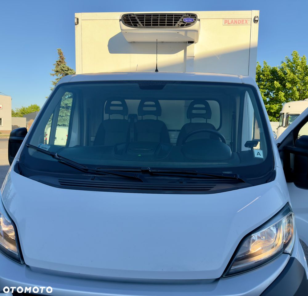 Fiat Ducato chłodnia /// Salon Polska /// carrier /// - 4