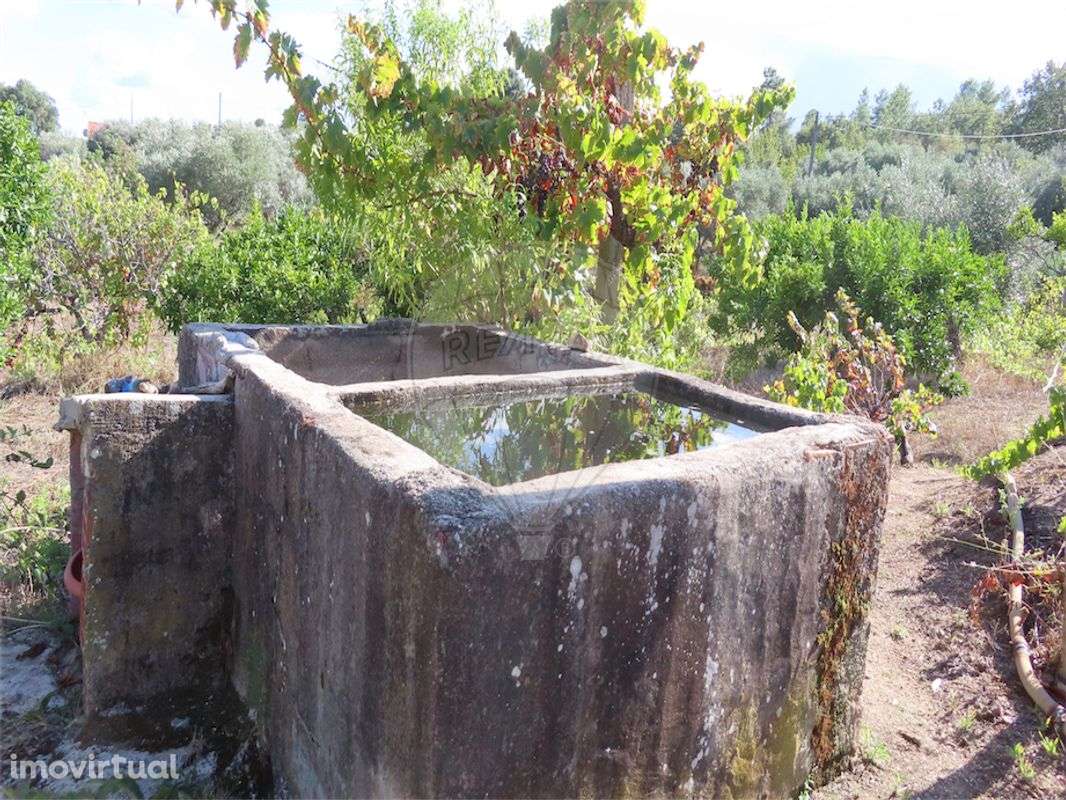 Quinta  para venda - Grande imagem: 4/45