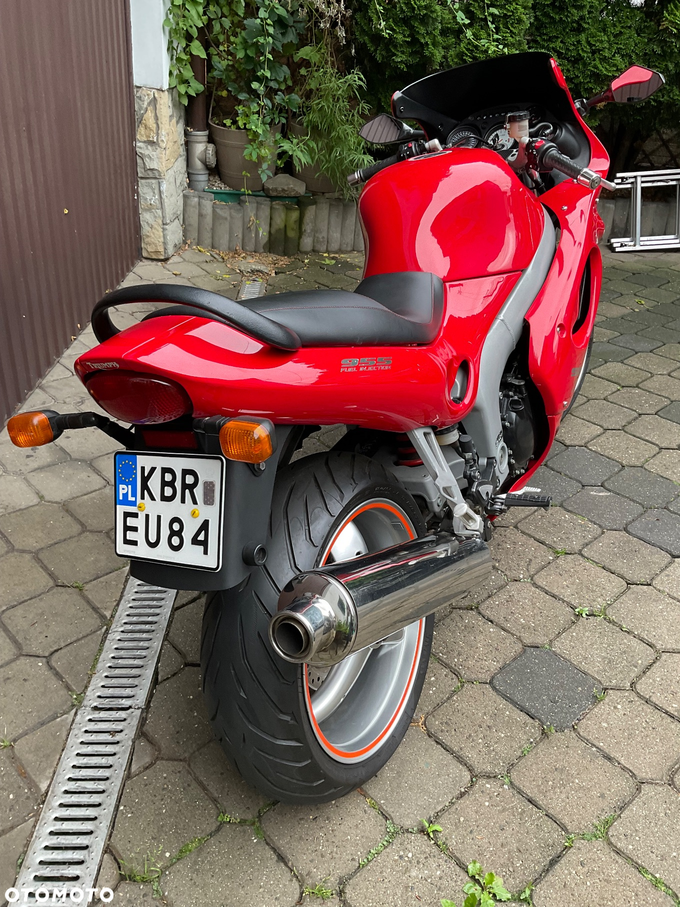 Triumph Sprint - 4