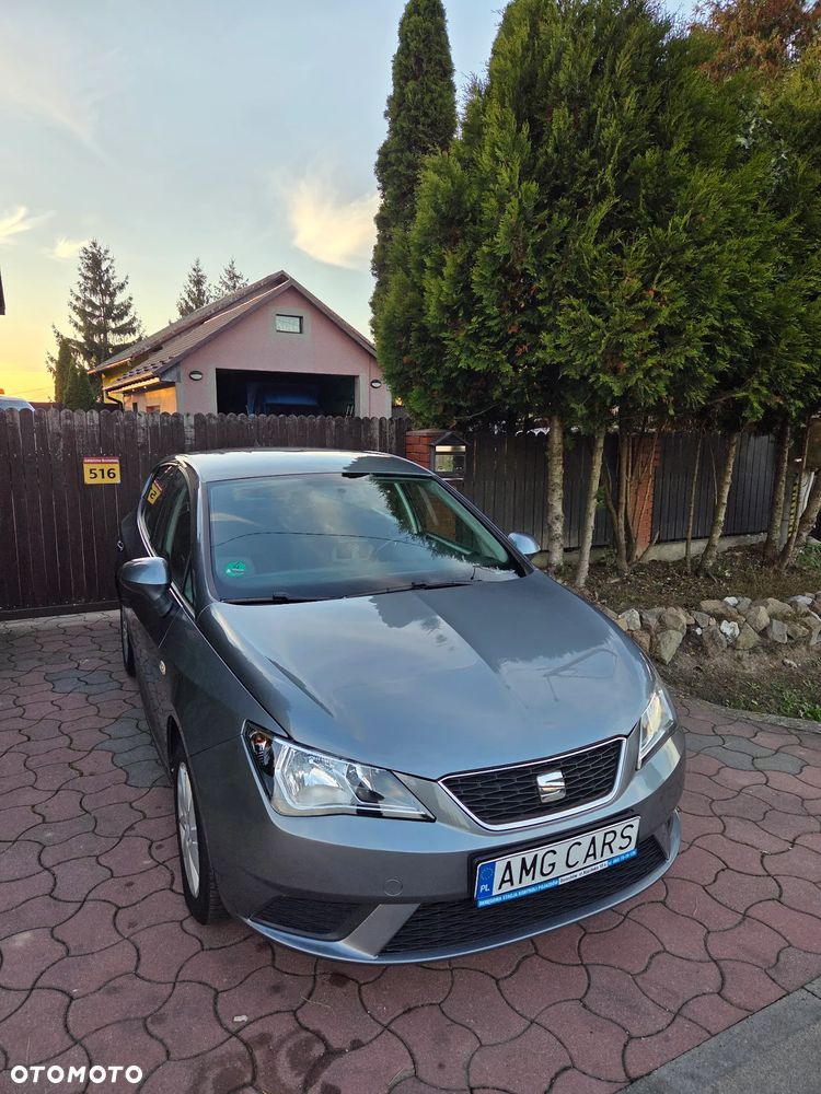 Seat Ibiza - 18