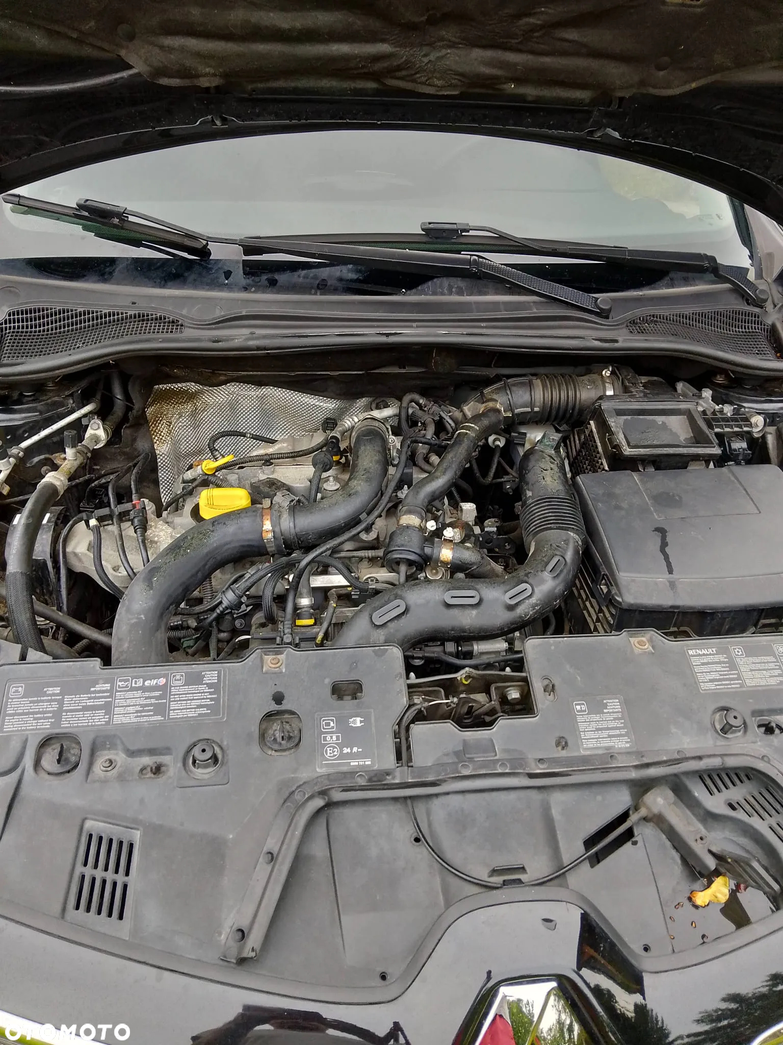 Renault Clio - 13