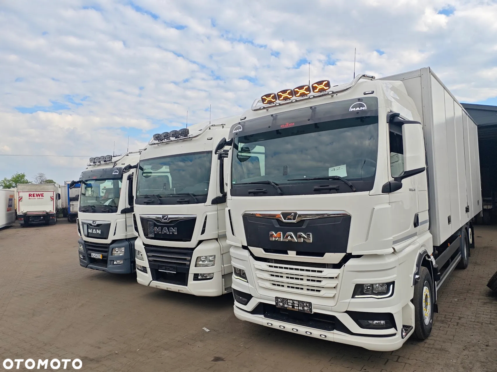 MAN MAN TGX * TGS * kontener * chłodnia * izoterma  * thermo king * Carrier *winda - 18