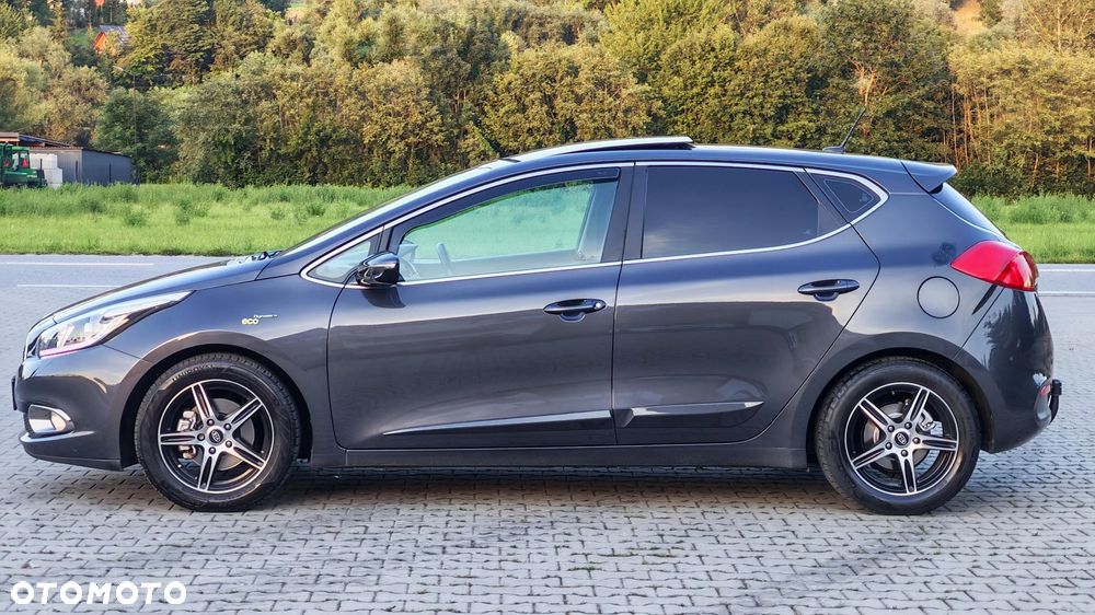 Kia Ceed 1.4 CVVT Dream Team Edition - 12