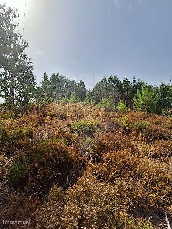 Terreno  para venda - Grande imagem: 2/3
