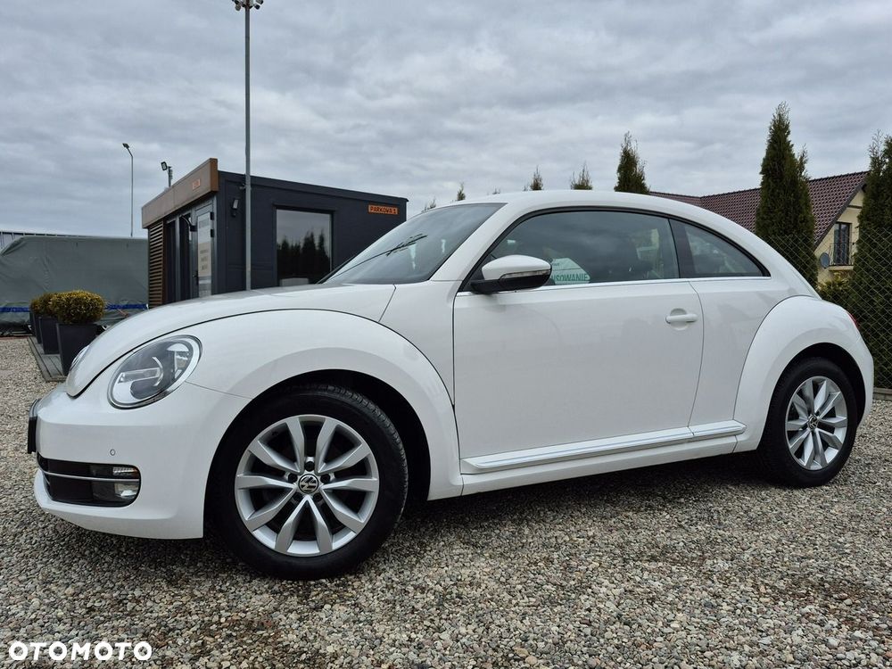 Volkswagen Beetle - 22