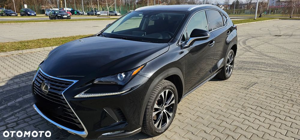 Lexus NX 300 Elegance Optimum AWD - 4