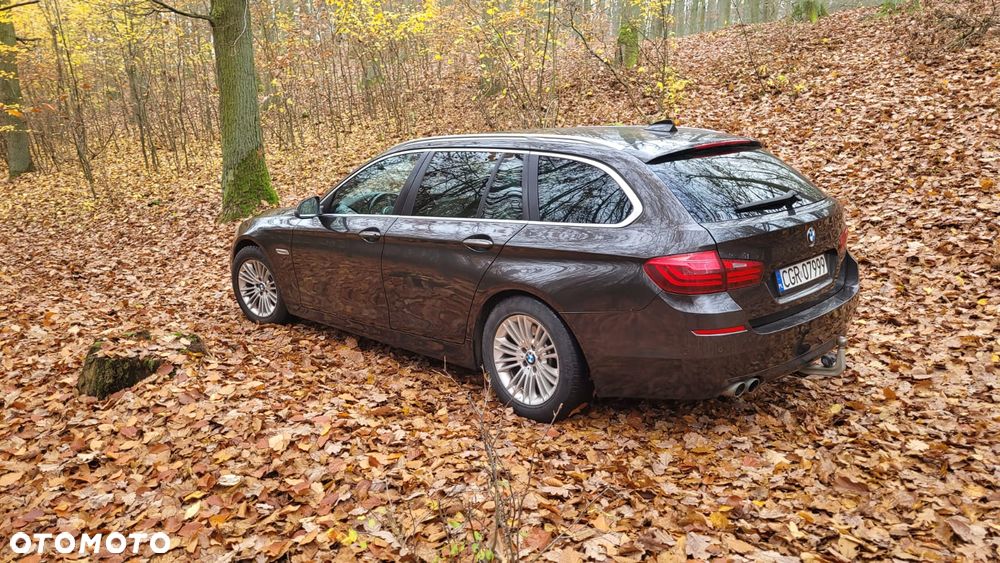 BMW Seria 5 520d - 12