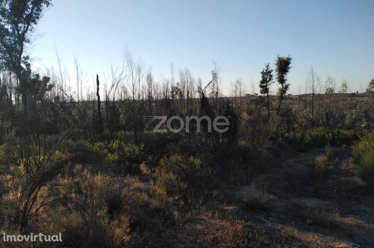 Terreno 8.533m2 em Sameice - Seia - Grande imagem: 2/21