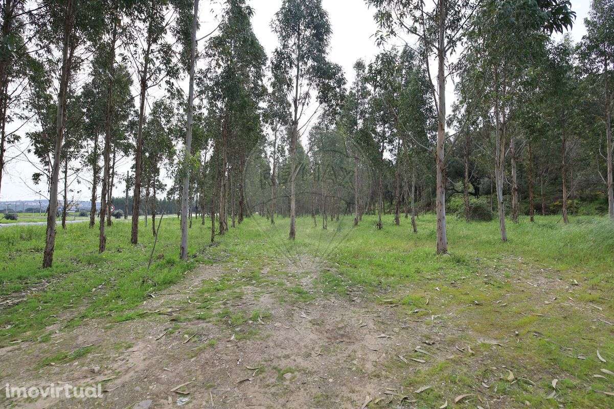 Terreno  para venda - Grande imagem: 3/14