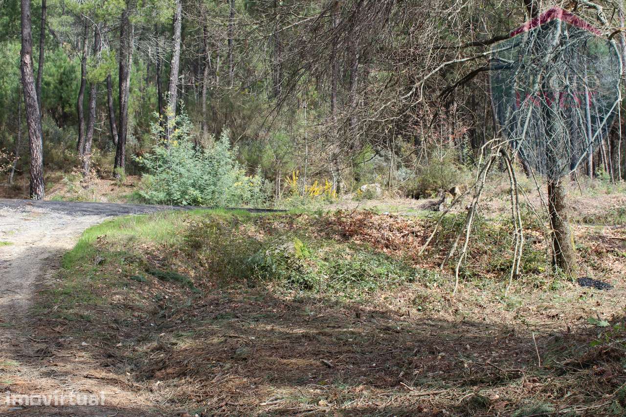 Terreno Para Construção  Venda em Santos Evos,Viseu - Grande imagem: 4/11