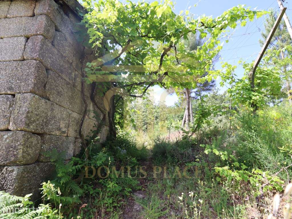 Terreno com 17.800 m², Casa para Reconstruir e mina de Água - Soalh... - Grande imagem: 3/29