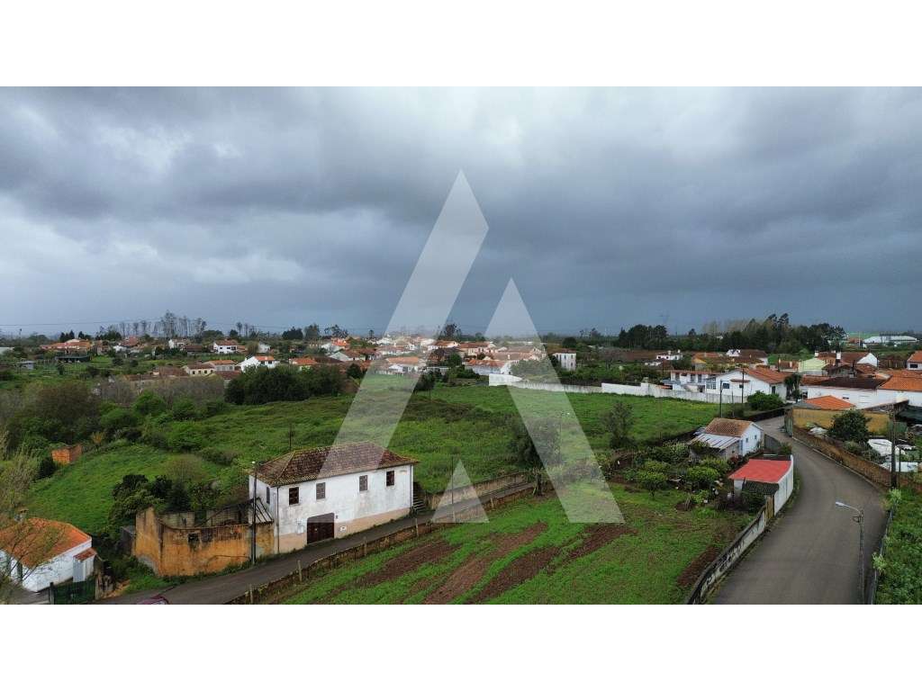 Terreno para Construção no Sobreiro - Albergaria-a-Velha - Grande imagem: 4/15
