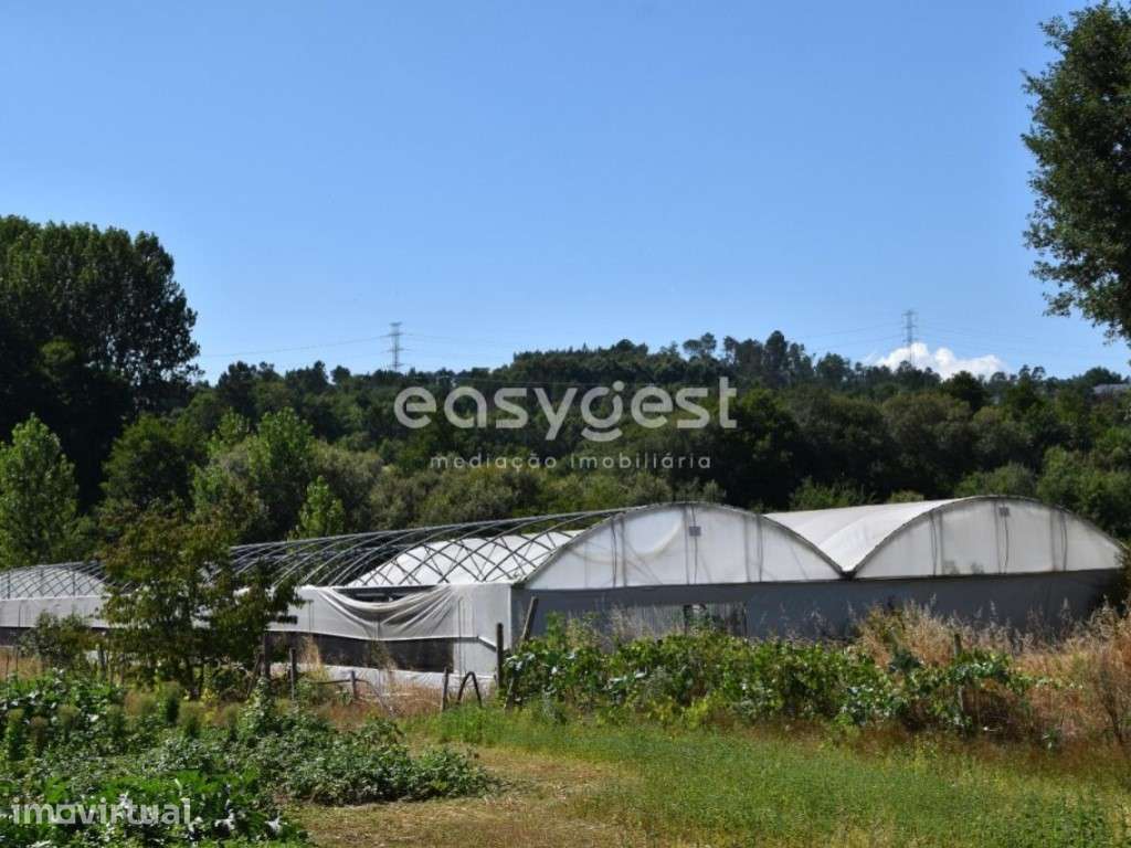 Terreno de exploração agrícola, localizado em Coutos de Viseu - Grande imagem: 2/25