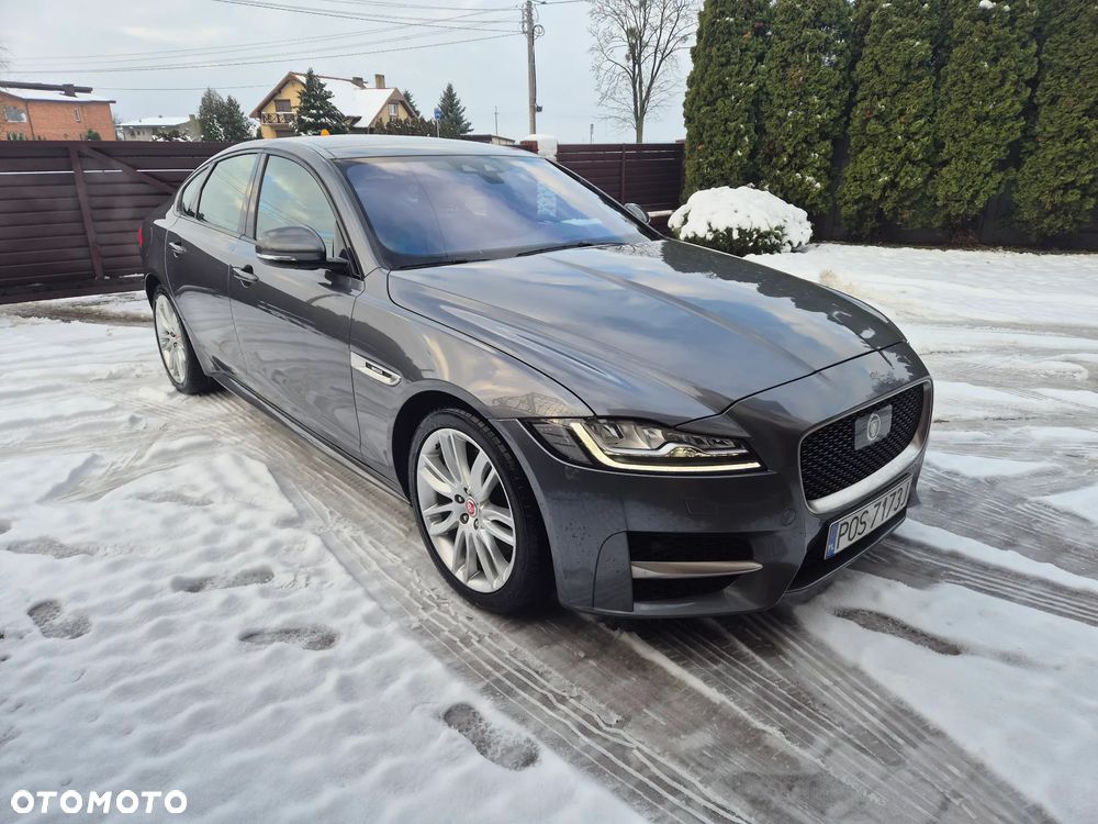 Jaguar XF 3.0 TDV6 R-Sport - 2