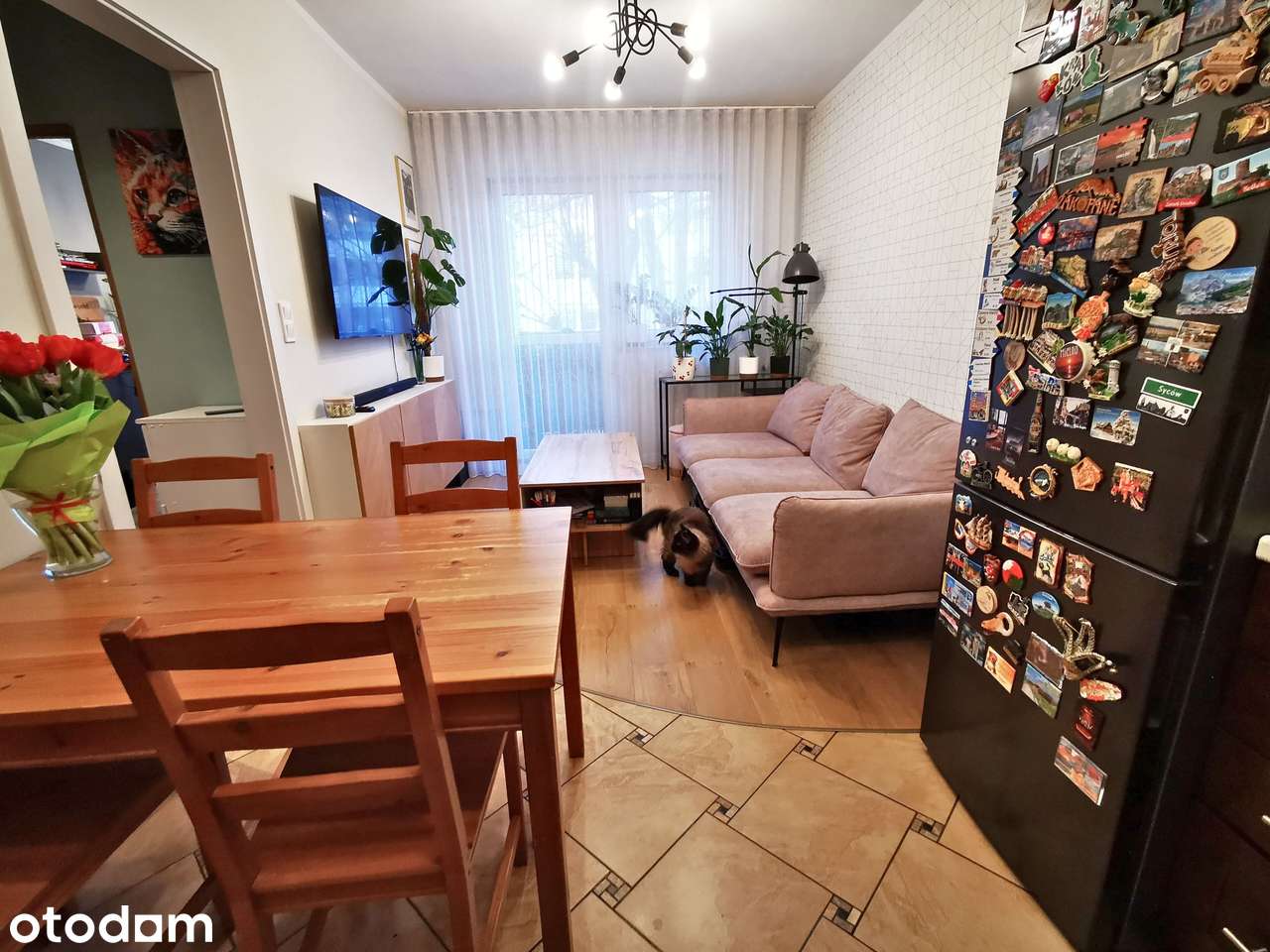 3 pokoje loggia gotowe do wprowadzenia - Pełny obrazek: 2/11
