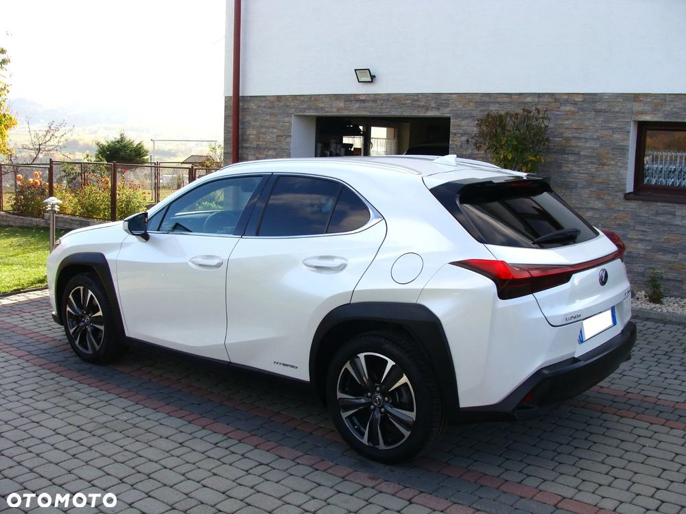 Lexus Ux 2019 photo 4