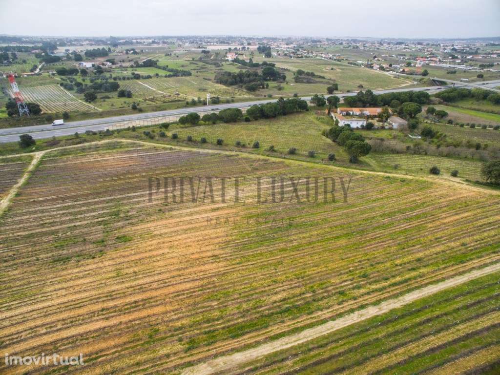 Vinhas Península de Setúbal, casas, anexos e armazém, 45Ha. - Grande imagem: 4/11